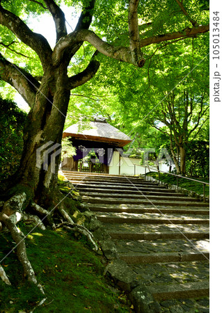 住蓮山法然院　【京都府京都市左京区】 105013484