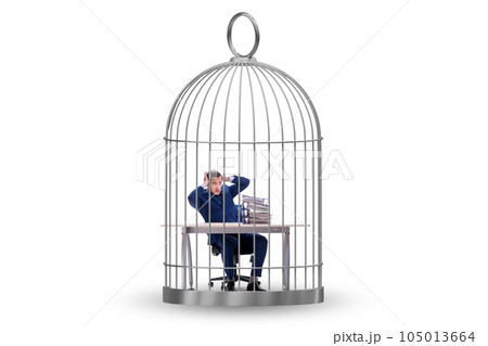Businessman caught in the cage 105013664
