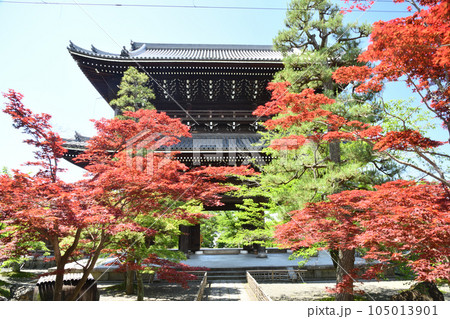 金戒光明寺(山門) 【京都市左京区黒谷町】 金戒光明寺(山門) 【京都市左京区黒谷町】 105013901