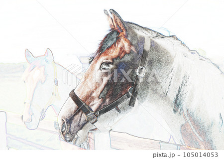 パステル調　””馬の横顔”　イラストイメージ 105014053