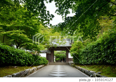 最勝院(高徳庵)(参道・山門)【京都府京都市左京区】 最勝院(高徳庵)(参道・山門)【京都府京都市左京区】 105014127