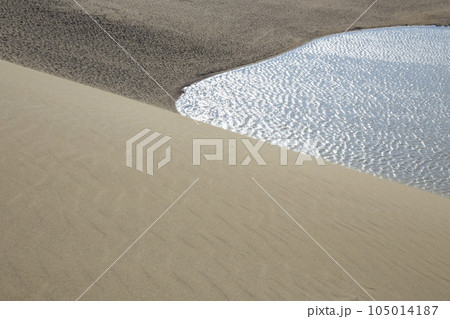 夏の暑い朝の鳥取砂丘 鳥取県 鳥取砂丘 105014187