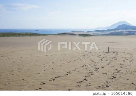 夏の暑い朝の鳥取砂丘 鳥取県 鳥取砂丘 105014366