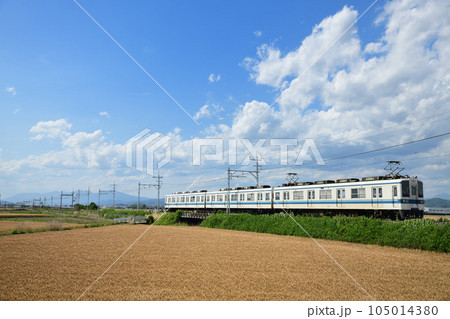 麦秋の麦畑と東武伊勢崎線のローカル電車 105014380
