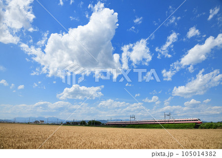 麦秋の麦畑と東武伊勢崎線特急りょうもう号 麦秋の麦畑と東武伊勢崎線特急りょうもう号 105014382