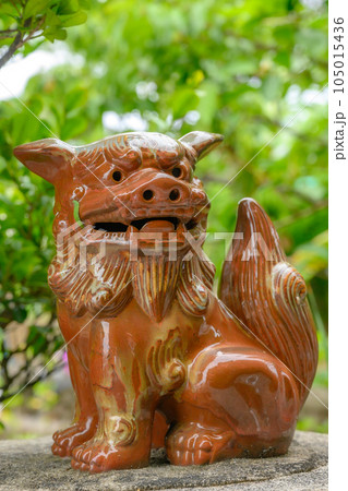 沖縄 備瀬 フクギ並木 沖縄 備瀬 フクギ並木 105015436