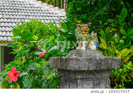 沖縄　備瀬　フクギ並木 105015437