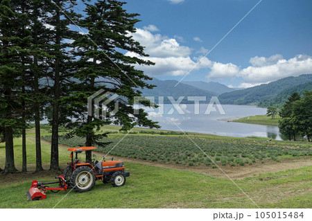 オレンジ色のトラクターが止まる湖畔 105015484