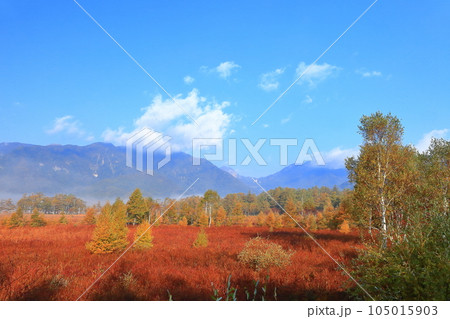 【栃木県】朝日を浴びる戦場ヶ原の草紅葉 【栃木県】朝日を浴びる戦場ヶ原の草紅葉 105015903