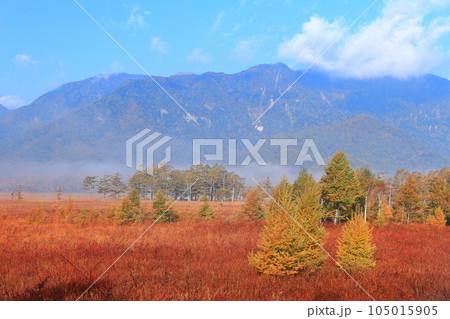 【栃木県】朝日を浴びる戦場ヶ原の草紅葉 105015905