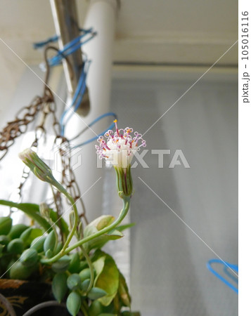 グリーンネックレス 花 グリーンネックレス 花 105016116