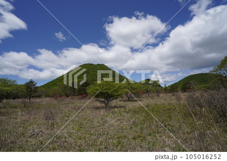 榛名高原　山側廻りのゆうすげの道から榛名富士を見る　咲き始めのヤマツツジ　2023年5月24日 105016252