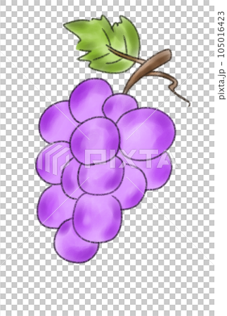 カラフルなぶどうのイラストのイラスト素材 [105016423] - PIXTA