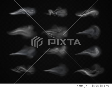 Wind gust. Realistic air winds blow, breeze current stream or white smoke puff curls windy effect, breath steam flow and perfume fragrance Wind gust. Realistic air winds blow, breeze current stream or white smoke puff curls windy effect, breath steam flow and perfume fragrance 105016479