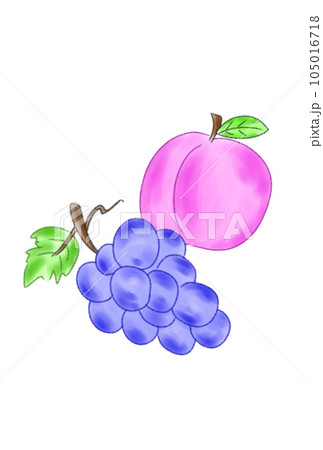 Drawing Tutorial. Game for White Grapes. Stock Vector - Illustration of  cartoon, line: 89865012