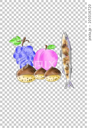 autumn fruits and saury 105016720