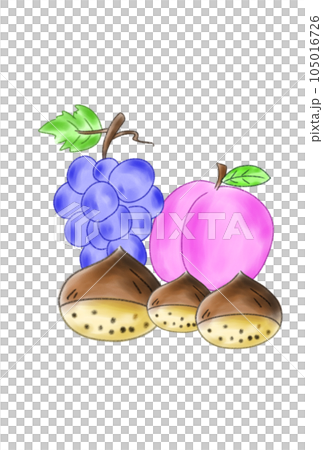栗子、桃子和葡萄的插圖 栗子、桃子和葡萄的插圖 105016726