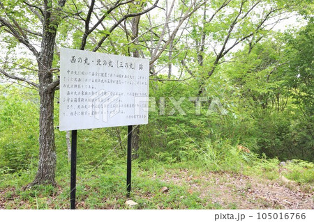 新高山城 新高山城 105016766