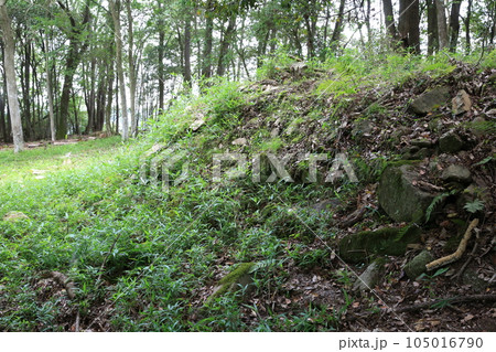 新高山城 新高山城 105016790