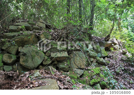 新高山城 105016800