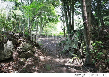 新高山城 新高山城 105016816