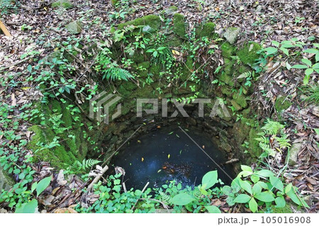 新高山城 105016908