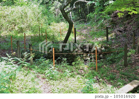 新高山城 105016920