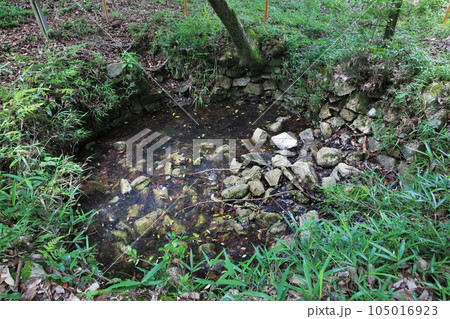 新高山城 新高山城 105016923