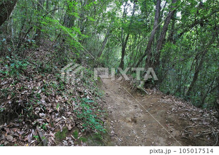 新高山城 105017514