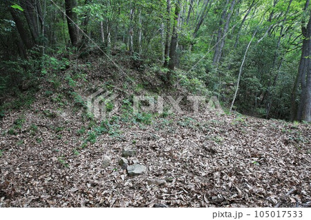 新高山城 新高山城 105017533