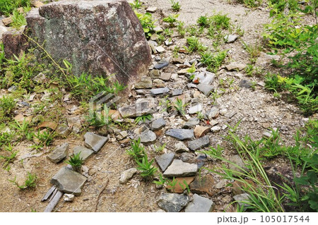 新高山城 105017544