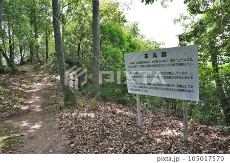 新高山城 新高山城 105017570