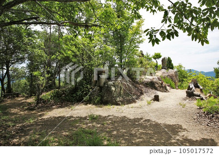 新高山城 新高山城 105017572