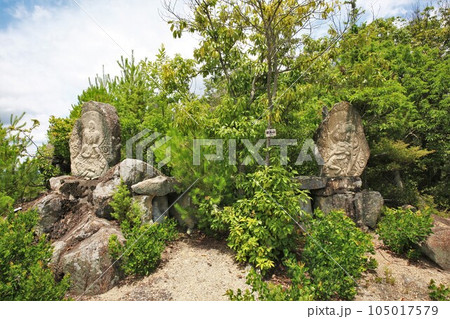 新高山城 新高山城 105017579