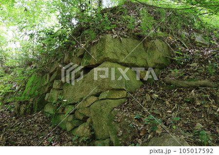 新高山城 新高山城 105017592