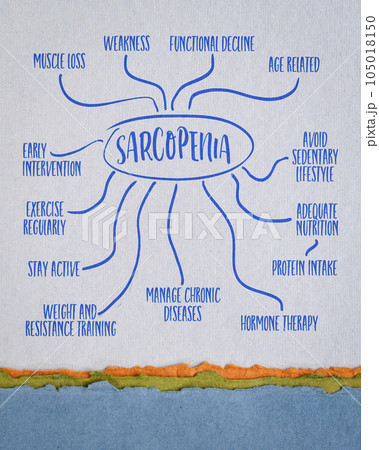 sarcopenia, muscle loss with age and ways of its prevention - infographics or mind map sketch on art paper, health and lifestyle concept 105018150