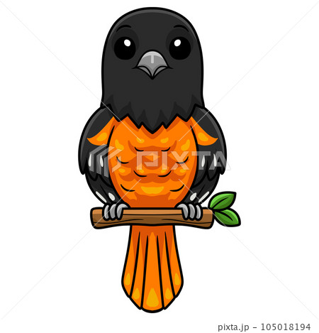 Stock Art Drawing of an Altamira Oriole