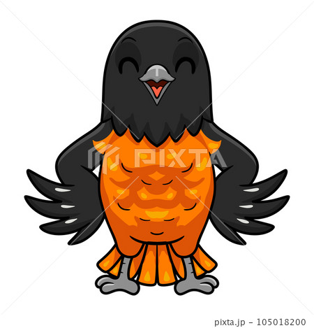 Cute baltimore oriole bird cartoon 105018200