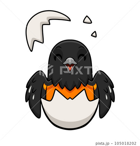 Cute baltimore oriole bird cartoon inside from egg Cute baltimore oriole bird cartoon inside from egg 105018202