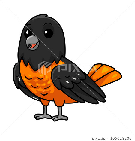 Cute baltimore oriole bird cartoon flying - Stock Illustration