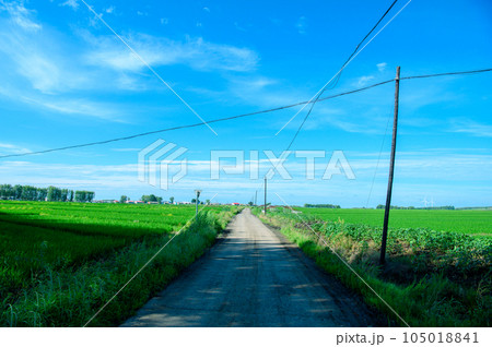 夏の田舎景色 夏の田舎景色 105018841