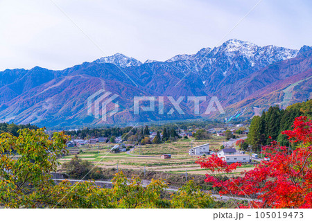【秋素材】秋の白馬村の風景【長野県】 105019473