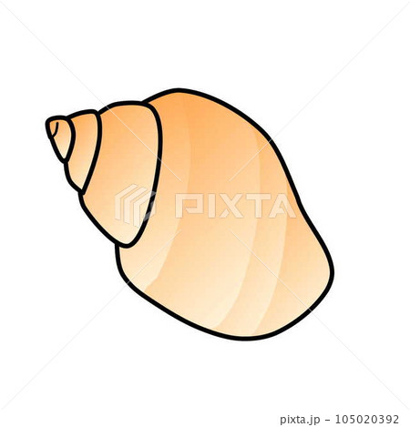 貝殻のイラスト 105020392