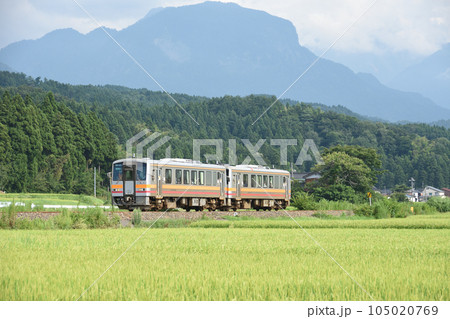 水田地帯を走る大糸線 キハ120系 水田地帯を走る大糸線 キハ120系 105020769