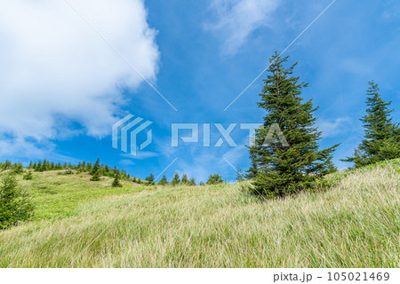 爽やかな高原 105021469