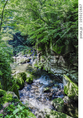 夏の磊々峡 105021667