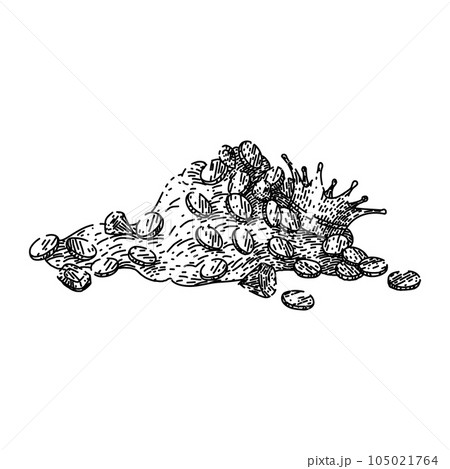 heap treasure gold sketch hand drawn vector heap treasure gold sketch hand drawn vector 105021764