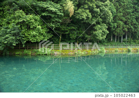 竹中池と緑の森 105022463