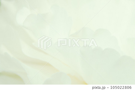 背景素材　花びらの美しいウエーブイメージ 105022806