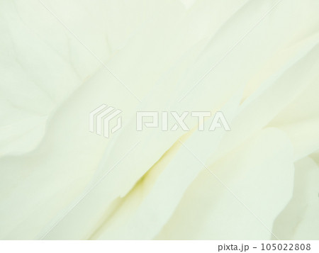 背景素材　花びらの美しいウエーブイメージ 105022808